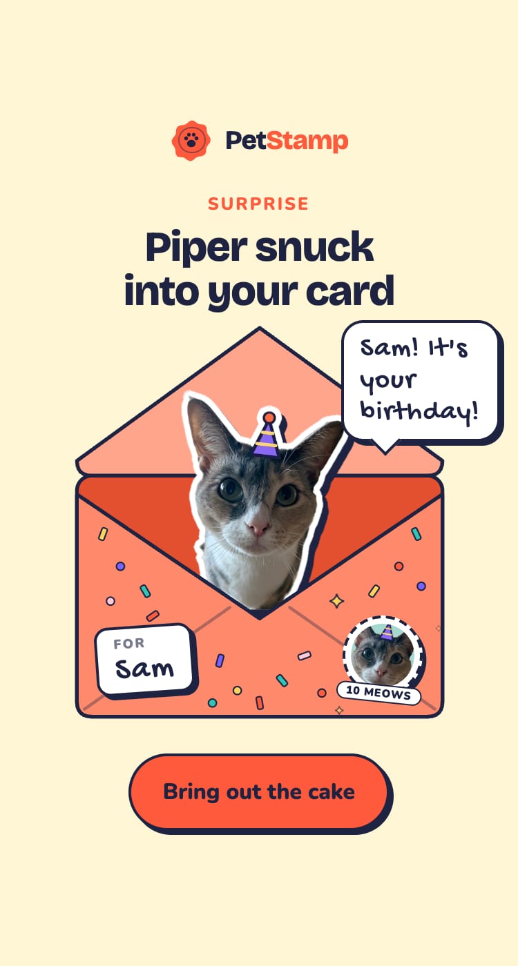 Piper popping out of the envelope