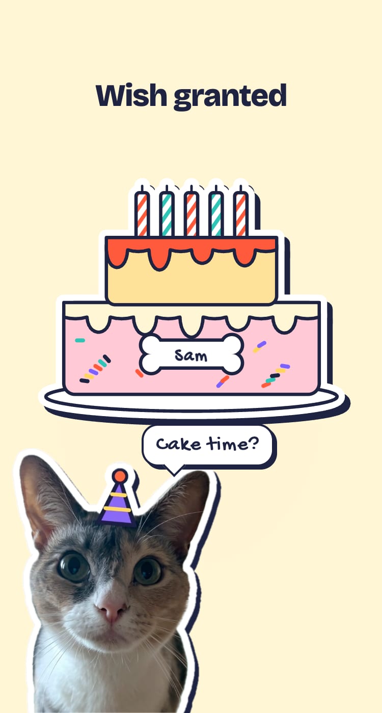 Piper peeking in from the corner, asking Cake time