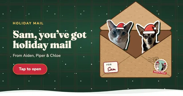 Link preview: Piper and Chloe in Santa hats in a kraft envelope on a snowy green background. Sam, you've got holiday mail. From Aiden, Piper and Chloe. Tap to open.
